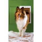 Citylife Parc Pour Chien, Parc Chien Transparent 7+1 Panneaux, Parc